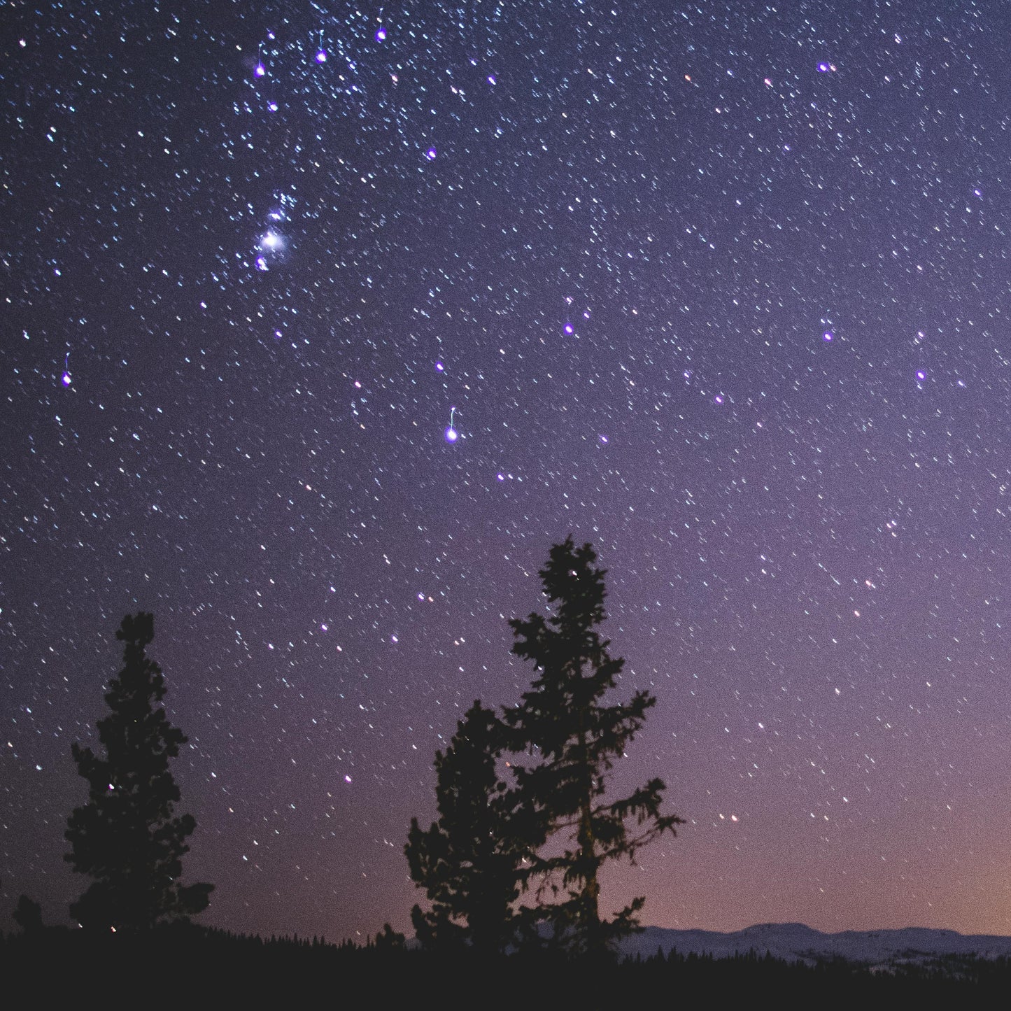 Starry night sky with silhouettes of trees