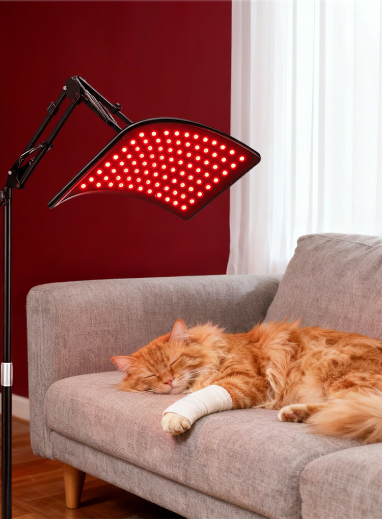 Aerivax Red Light Therapy Device yoga portrait - light therapy during yoga session