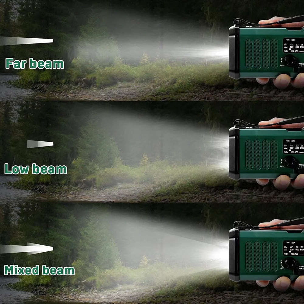 Comparison of far, low, and mixed beams from a portable device in a forest setting.