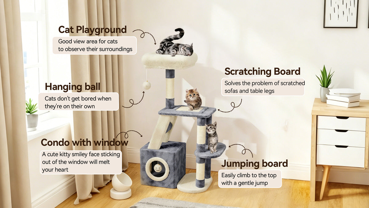 Cat playground with various features labeled in a room setting.