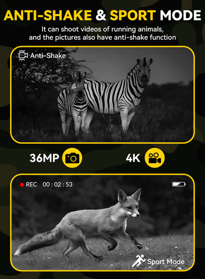 Elarvo N4 Night Vision Goggles feature display with zebra and fox images, highlighting anti-shake and sport mode capabilities.