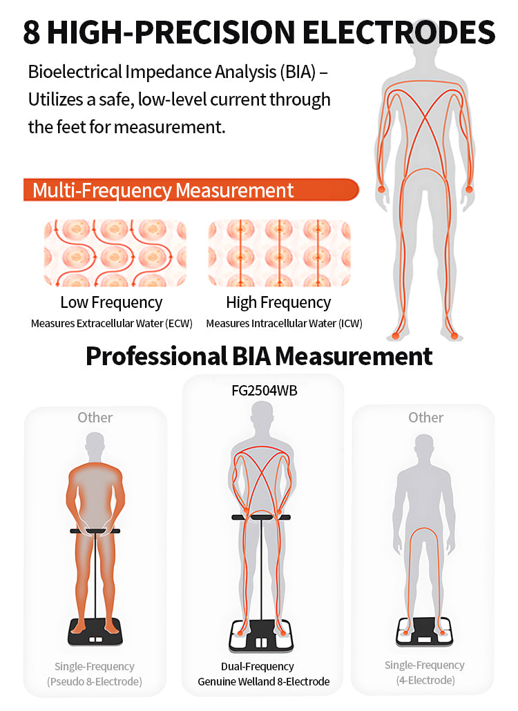 An informational infographic for the FG2504WB BIA scale, showing diagrams of human body measurements with orange circuit lines, labeled for low and high frequency measurements, and illustrating different electrode configurations.