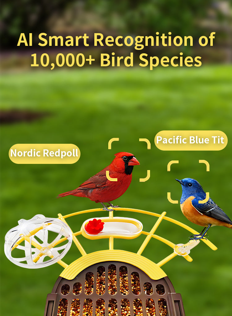 A Elarvo Smart Bird Feeder Camera shown in a garden setting with two birds perched on it, plus overlaid text reading 'AI Smart Recognition of 10,000+ Bird Species' and labels identifying the birds as Nordic Redpoll and Pacific Blue Tit.