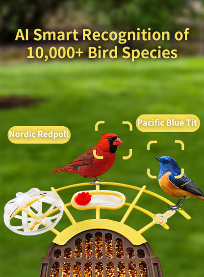 A Elarvo Smart Bird Feeder Camera shown in a garden setting with two birds perched on it, plus overlaid text reading 'AI Smart Recognition of 10,000+ Bird Species' and labels identifying the birds as Nordic Redpoll and Pacific Blue Tit.