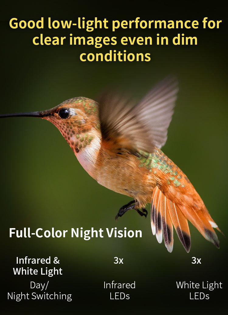 A promotional graphic for a hummingbird night-vision camera showing a blurred hummingbird against a dark green background, with text highlighting low-light performance, full-color night vision, infrared and white light switching, and LED counts.
