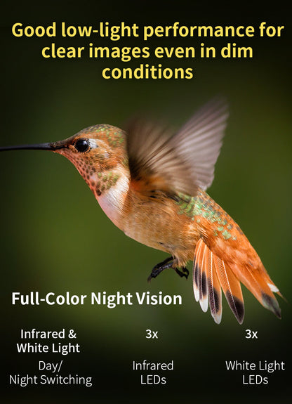 A promotional graphic for a hummingbird night-vision camera showing a blurred hummingbird against a dark green background, with text highlighting low-light performance, full-color night vision, infrared and white light switching, and LED counts.