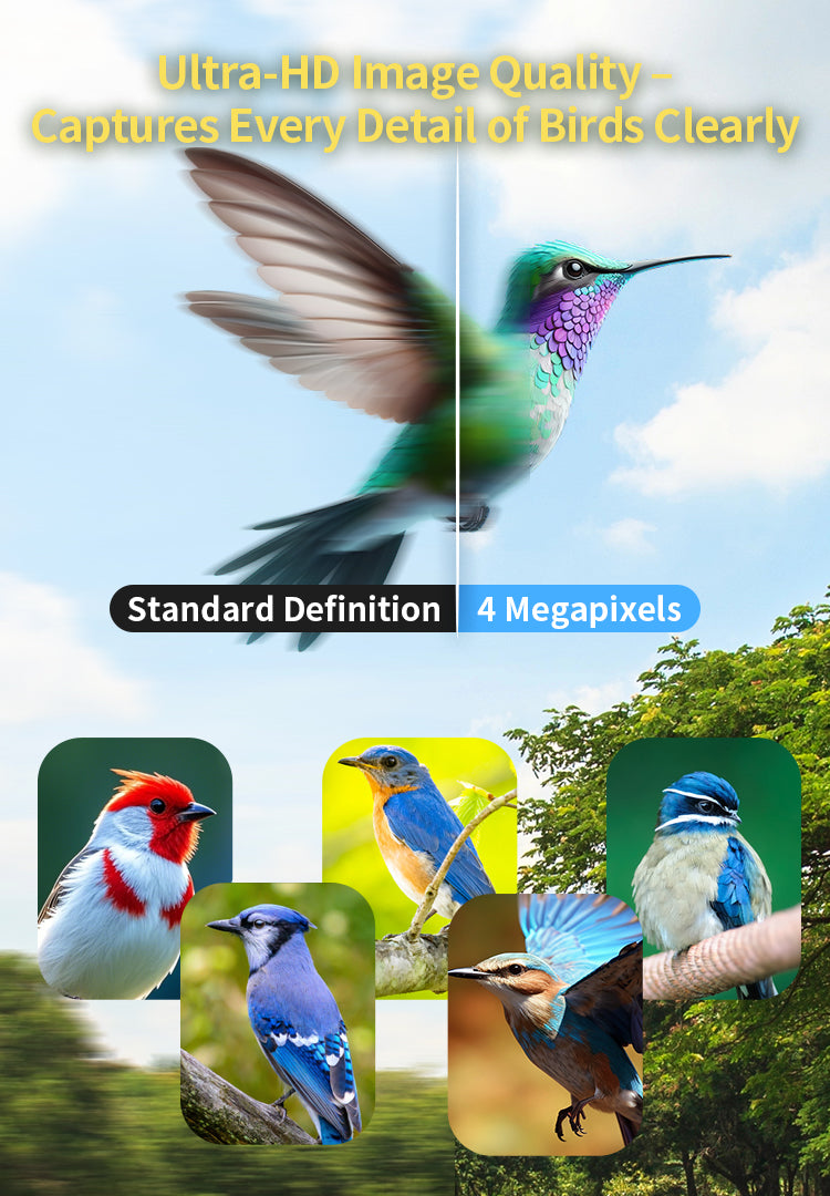 Promotional graphic for a bird photography or editing app, showing a large hummingbird with a split-screen comparison labeled 'Standard Definition' and '4 Megapixels,' plus several smaller bird photos at the bottom. Text at the top reads 'Ultra-HD Image Quality - Captures Every Detail of Birds Clearly.