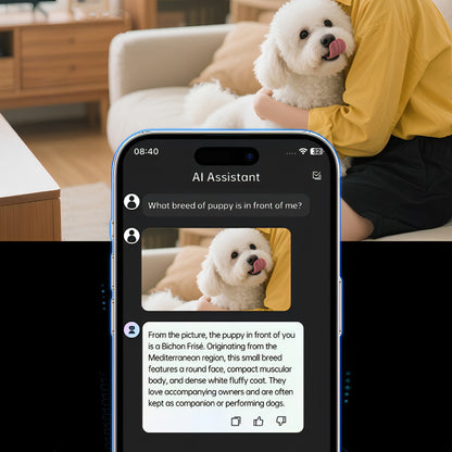 Fenzora Smart Glasses AI image recognition