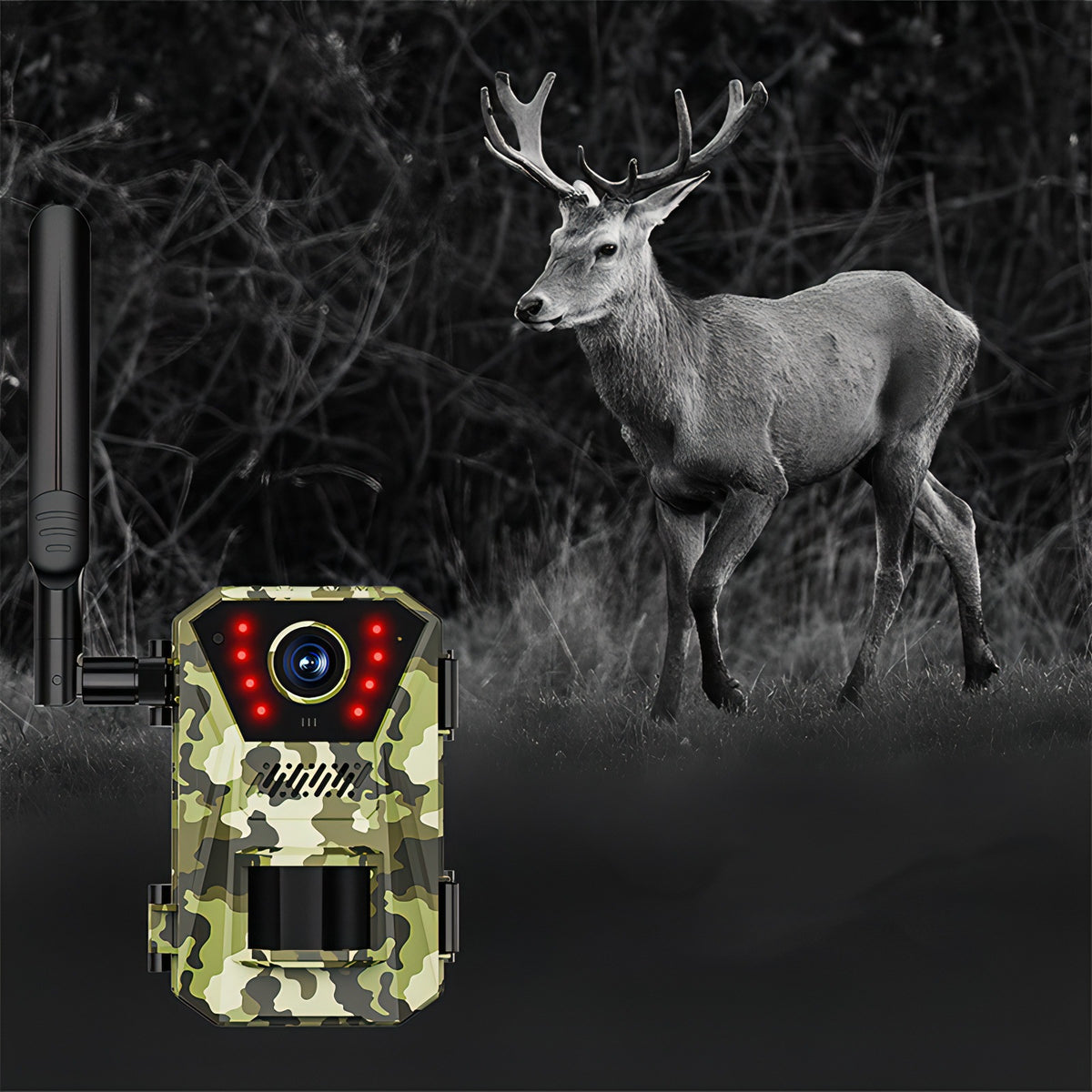 Fenzora Wildlife Camera HD night vision