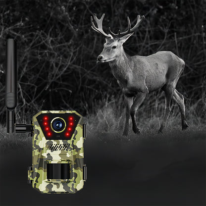 Fenzora Wildlife Camera HD night vision