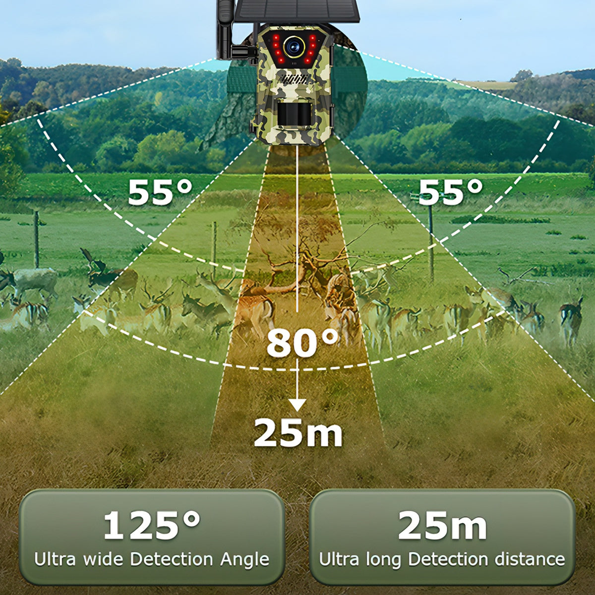 Fenzora Wildlife Camera 125 degree wide-angle coverage up to 25 m