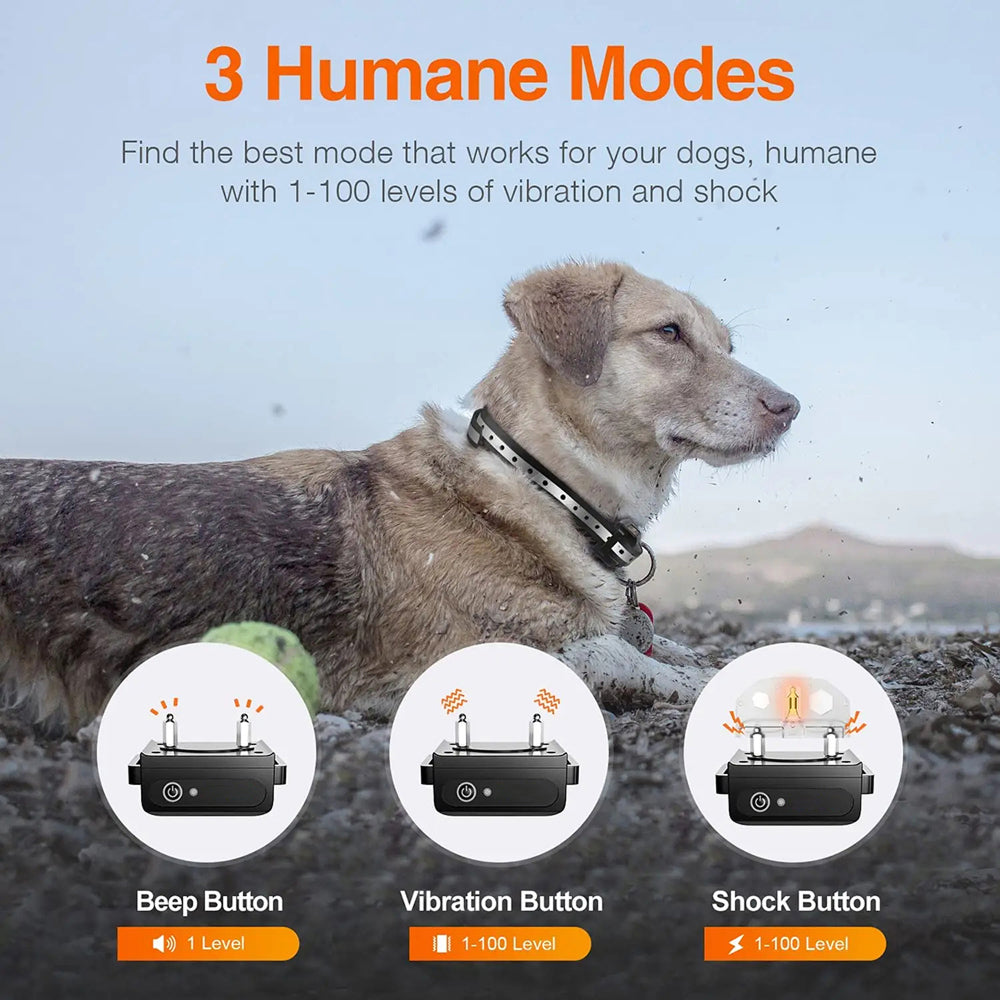 Dog wearing a GivaxMi Dog Training Collar with three humane mode options displayed on a snowy background.