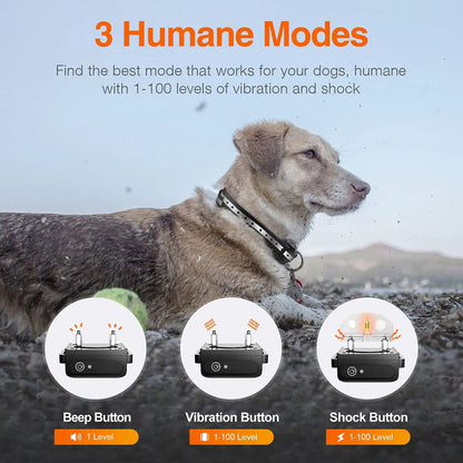 Dog wearing a GivaxMi Dog Training Collar with three humane mode options displayed on a snowy background.