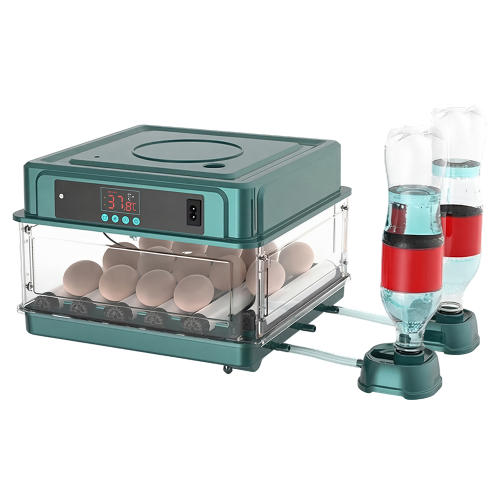 Green HatchiEggo Egg Incubator with digital display and two water bottles attached on a white background