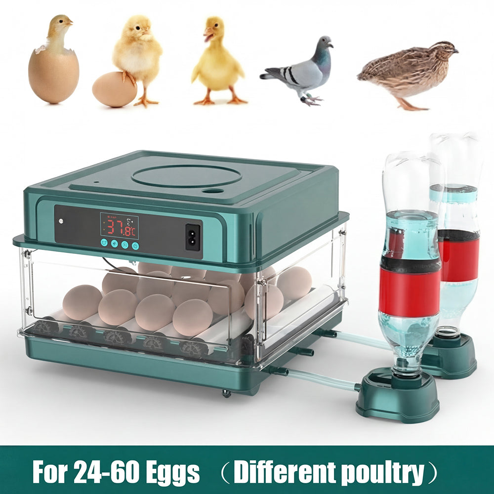 HatchiEggo Egg Incubator with digital display and water feeder for poultry, surrounded by various birds.