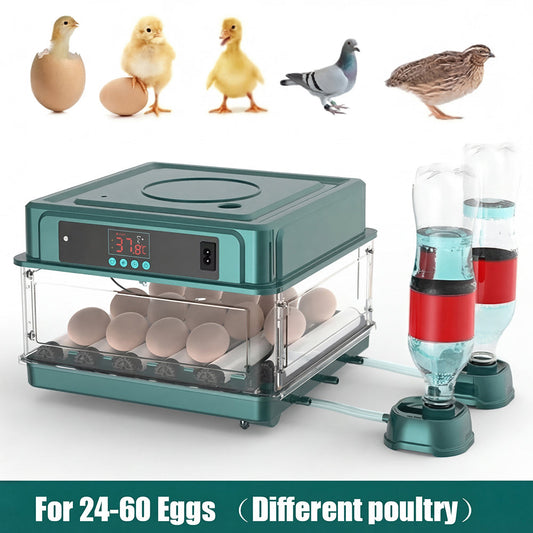 HatchiEggo Egg Incubator with digital display and water feeder for poultry, surrounded by various birds.