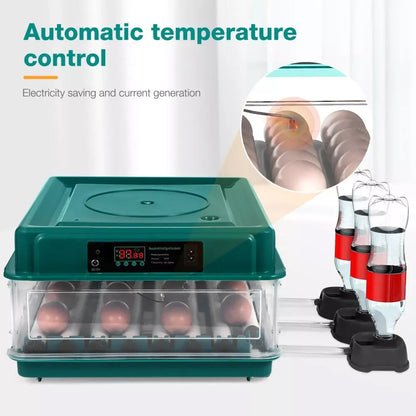 Green HatchiEggo Egg Incubator with digital display and inset showing eggs, surrounded by red and black bottles.
