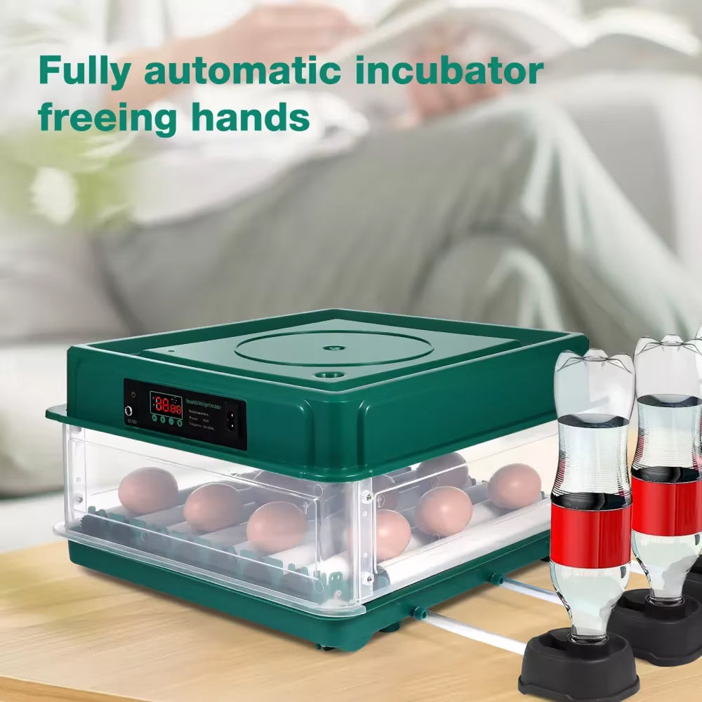 HatchiEggo Egg Incubator with eggs on a wooden surface, with text 'Fully automatic incubator freeing hands'.