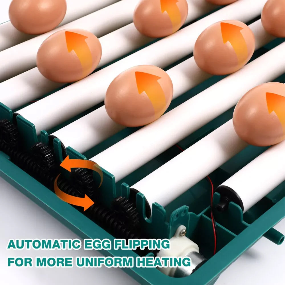 HatchiEggo Egg Incubator  with eggs on a roller system and text 'Automatic Egg Flipping for More Uniform Heating'.