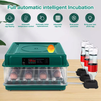 Full-automatic intelligent HatchiEggo Egg Incubator  with digital display on a wooden surface.