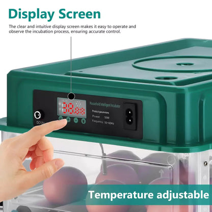 Temperature control device with digital display and incubating eggs, labeled 'Display Screen' and 'Temperature adjustable'.