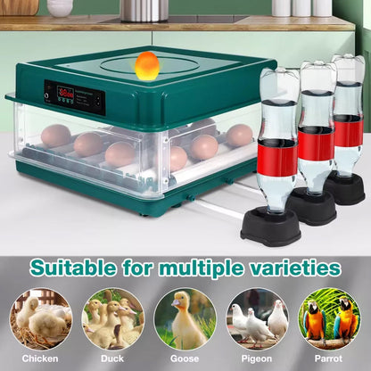 HatchiEggo Egg Incubator  with digital display and eggs, accompanied by three water bottles and images of various birds.