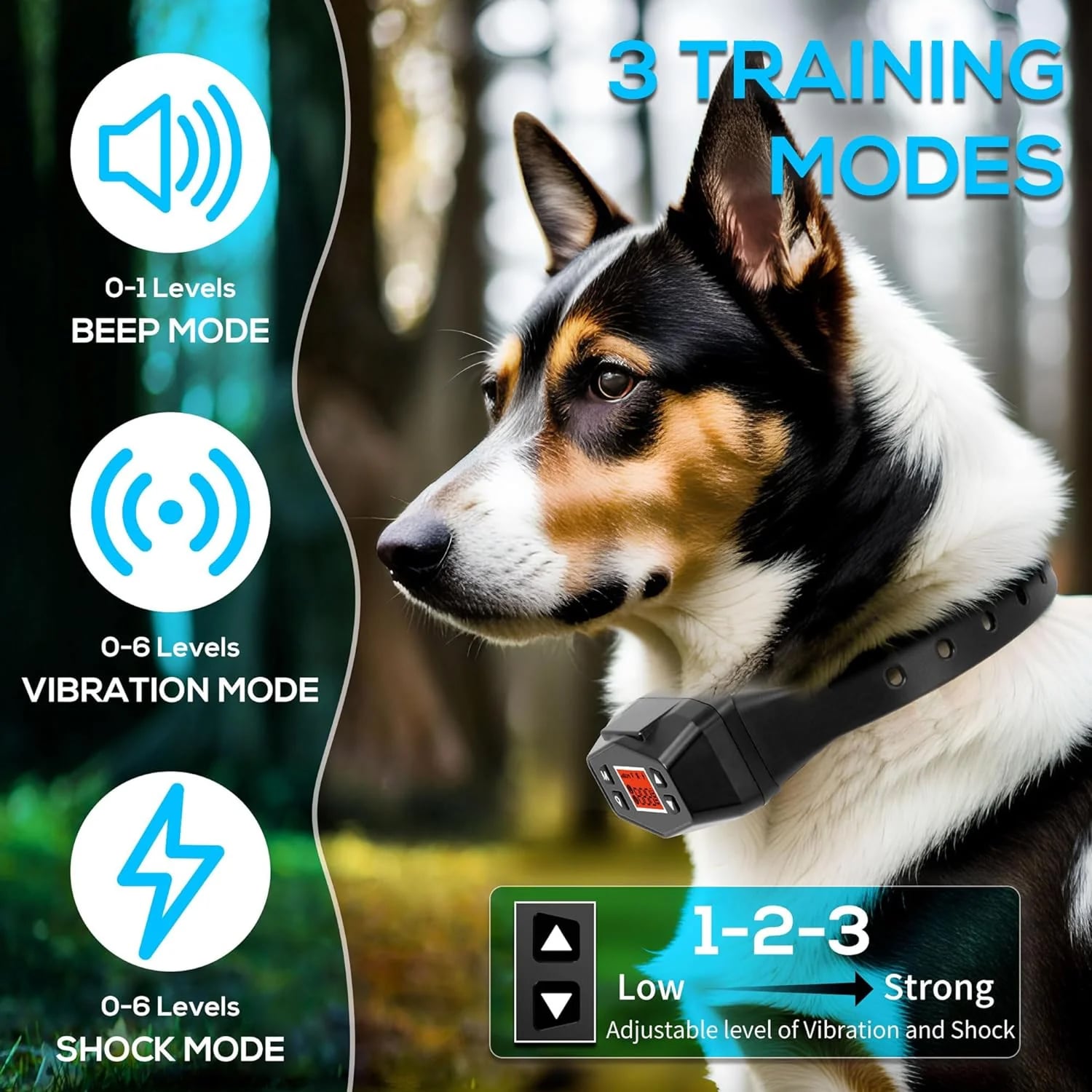 Dog wearing a training HavinFen GPS Dog Fence with three training mode options displayed.