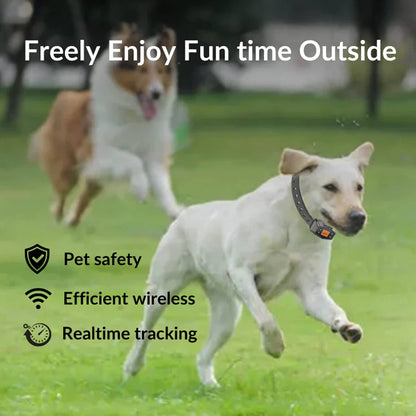 Two dogs running on grass with text about pet safety, wireless tracking, and real-time tracking.