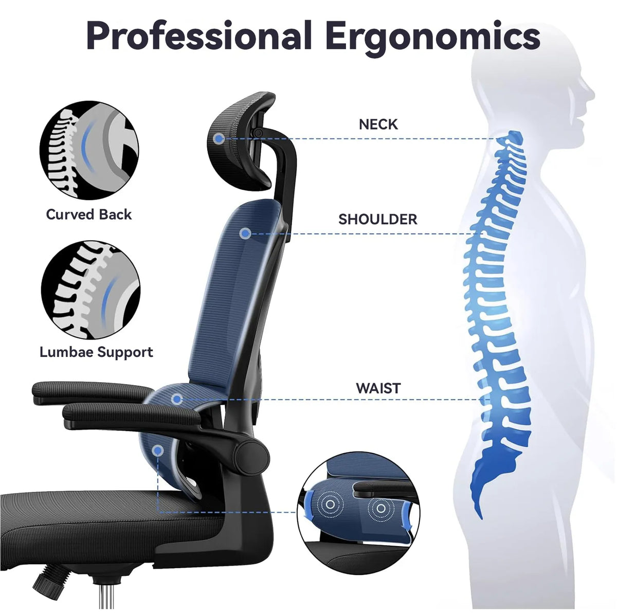 Kalvori Ergonomic Office Chair with highlighted features and a human silhouette showing spine alignment.