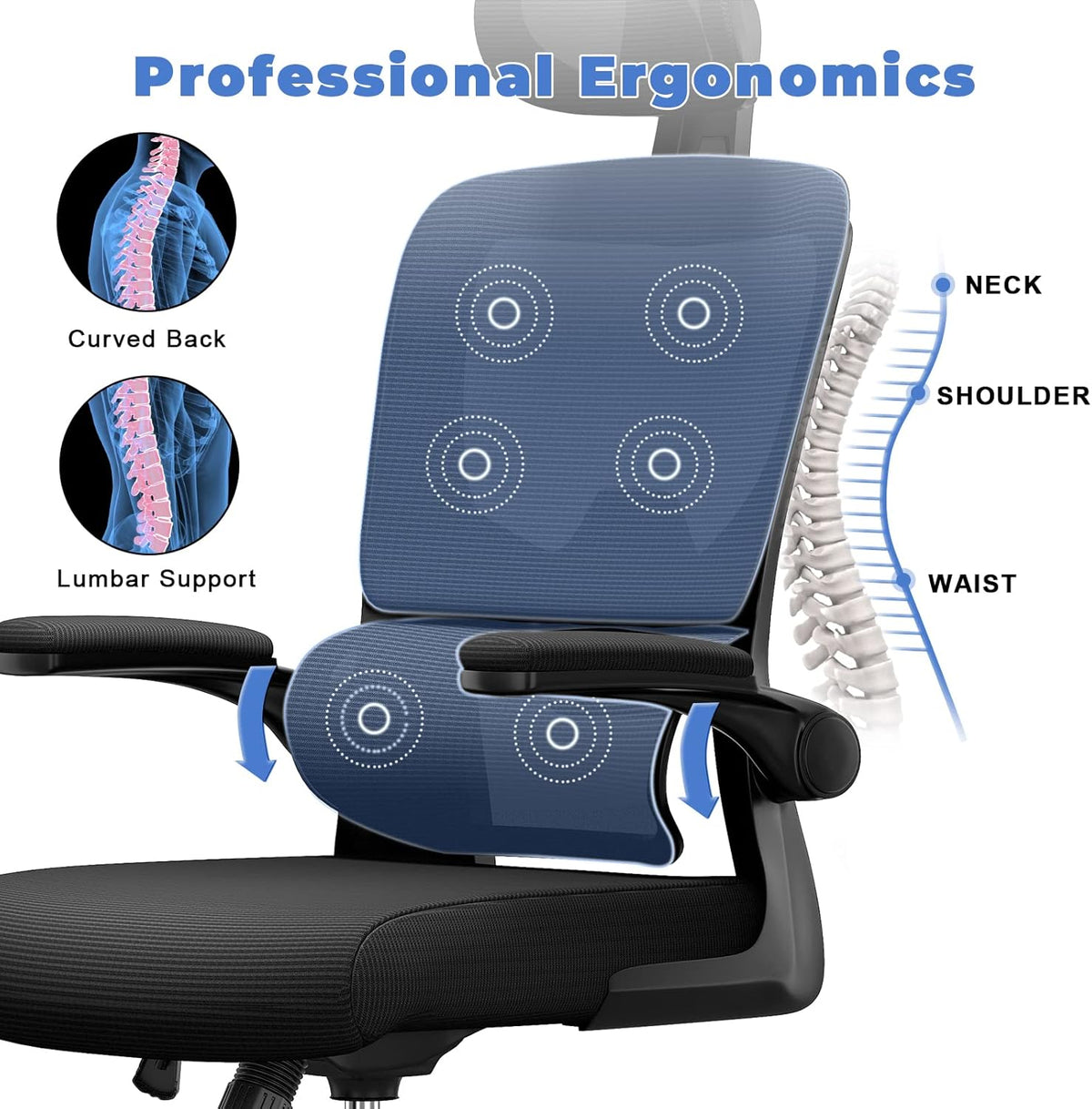 Kalvori Ergonomic Office Chair with massage cushion and professional ergonomics text