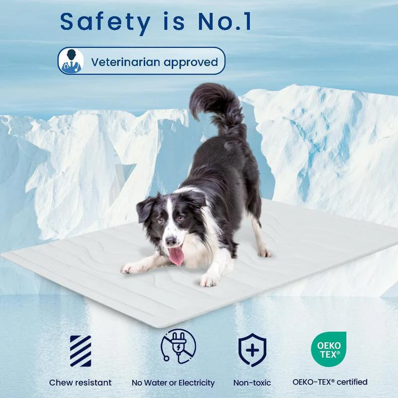Dog on a waterproof mat with safety certification text and logos.