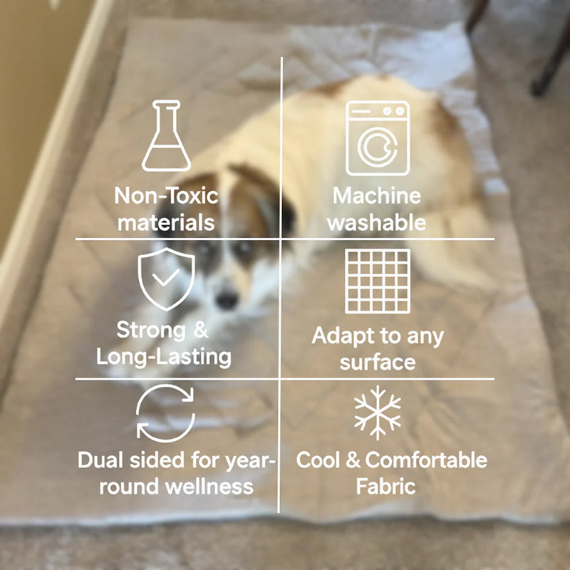 Dog lying on a mat with Kobolaf Dog Cooling Mat features highlighted