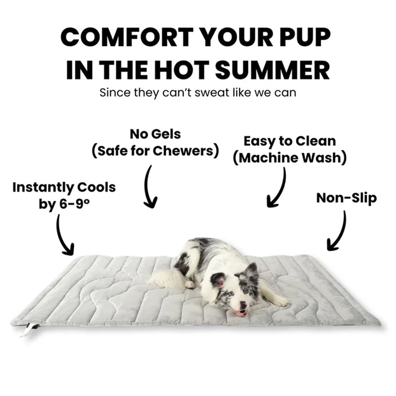 Dog lying on a cooling pad with text highlighting its features.