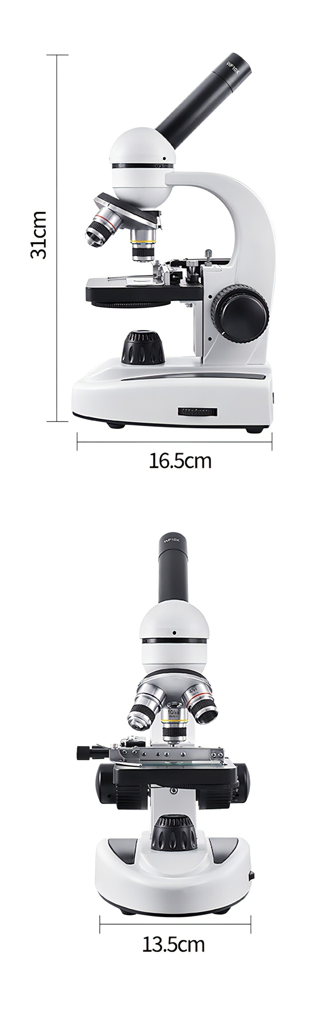 Korons Microscope with dimensions labeled on a white background