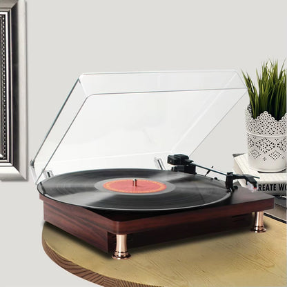 MelooDisc Record Player surface with a plant and decorative items in the background