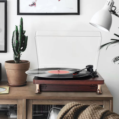 MelooDisc Record Player on a wooden table with a cactus plant and framed pictures in the background.