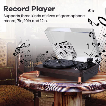 MelooDisc Record Player on a wooden table with musical notes in the background