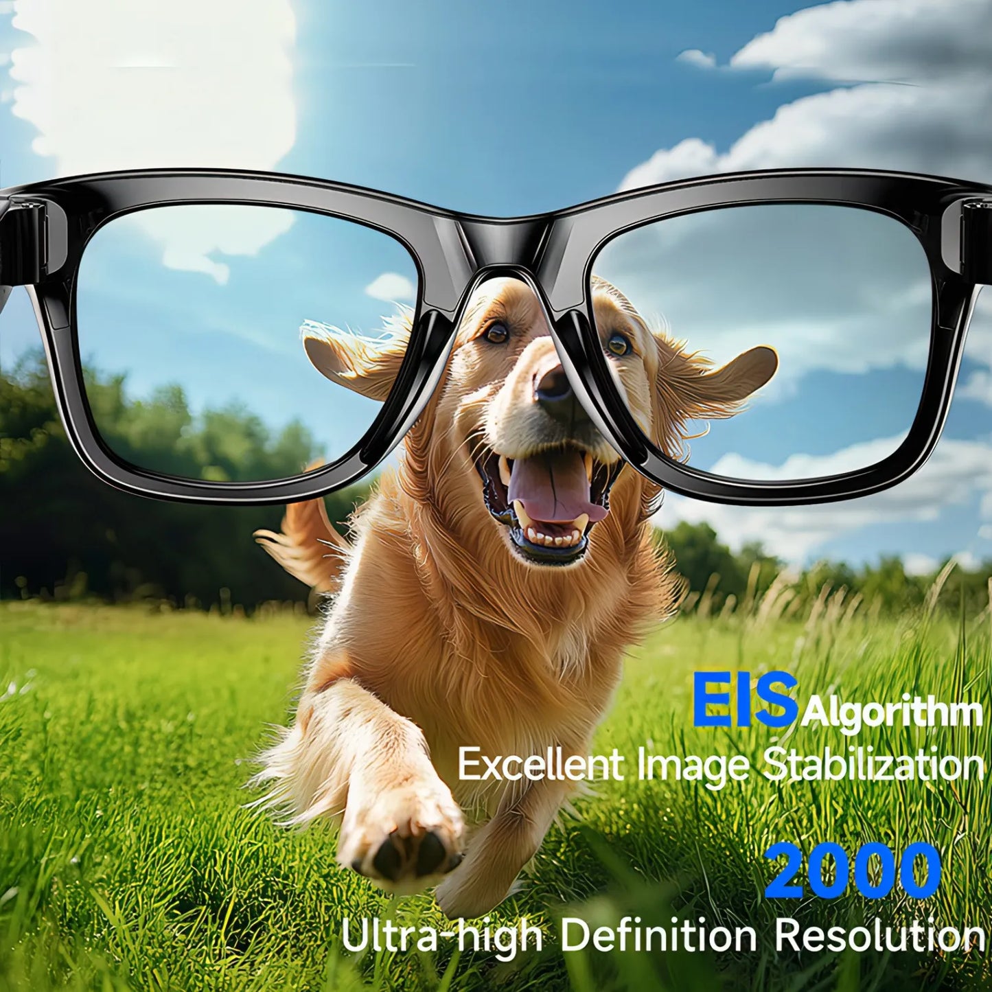 Dog running on grass with Mizeel AI Smart Glasses, featuring EIS algorithm text