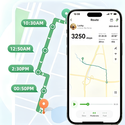 Moravon Dog GPS Tracker full movement history - track backtracking timestamped route playback