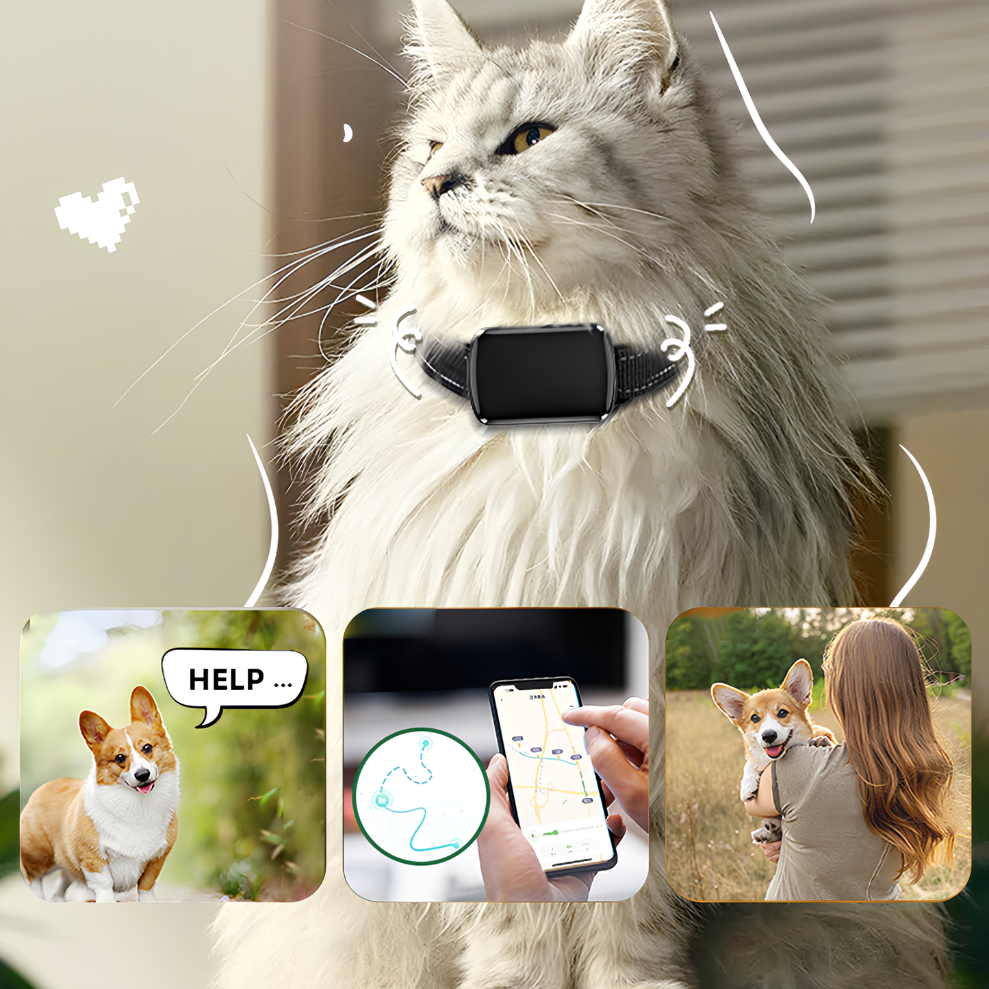Moravon Dog GPS Tracker remote monitoring QXGPS app - real-time location in seconds any distance
