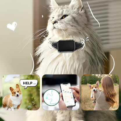 Moravon Dog GPS Tracker remote monitoring QXGPS app - real-time location in seconds any distance