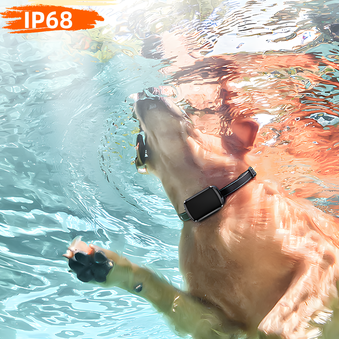 Moravon Dog GPS Tracker IP68 waterproof dustproof - mud rain full submersion outdoor protection
