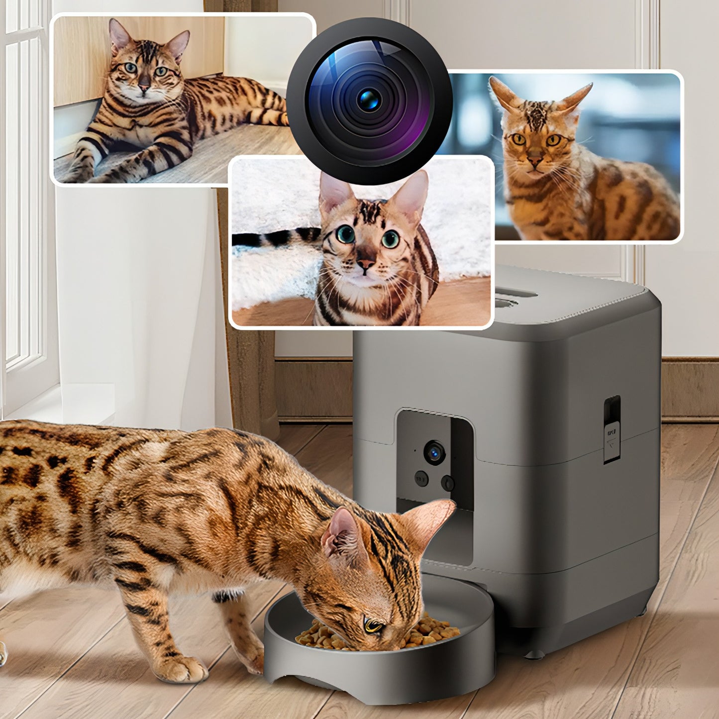 Moravon Pet Feeder with a cat interacting with it, surrounded by images of a cat.