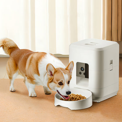 Dog eating from an automatic Moravon Pet Feeder on a wooden floor.