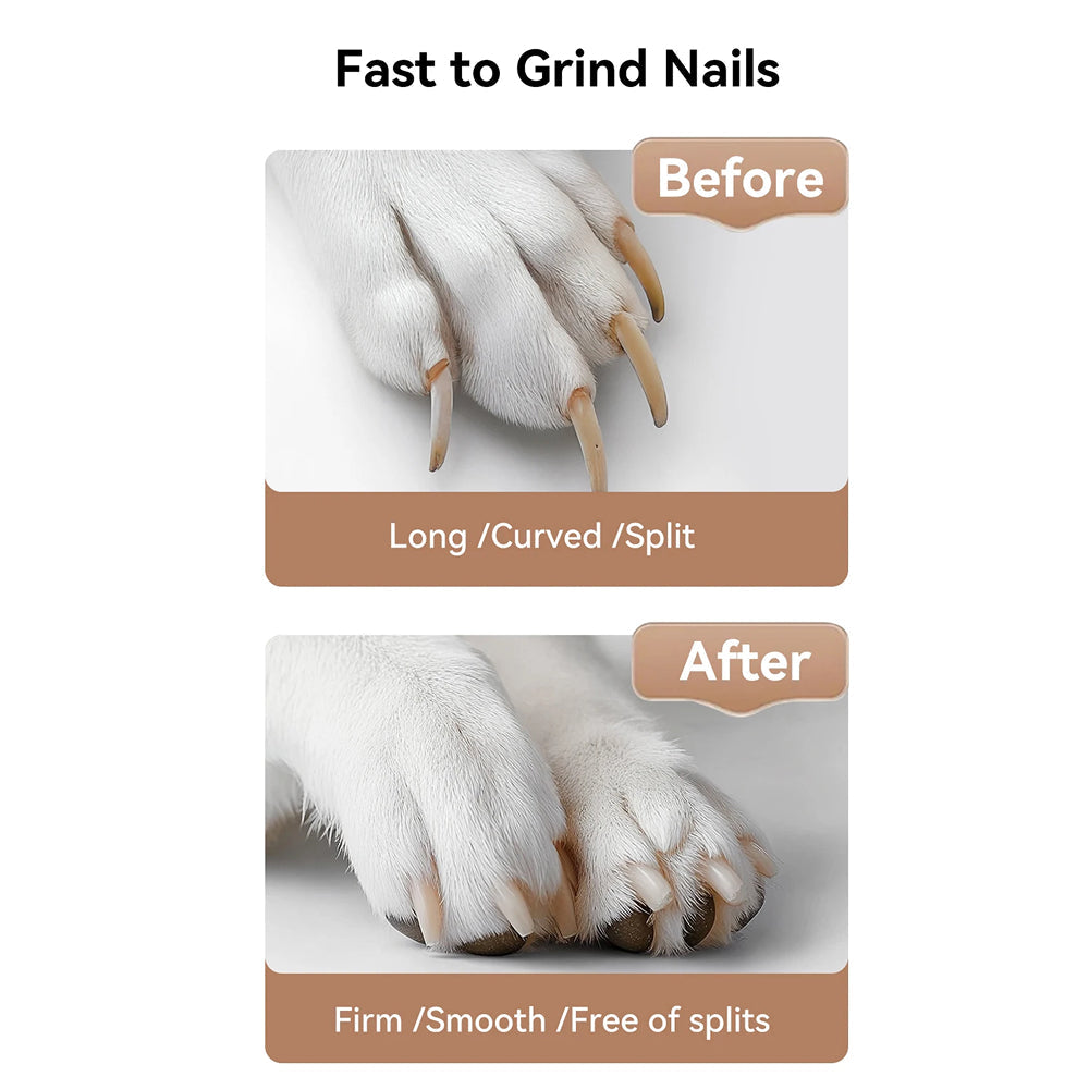 Comparison of a dog's paw before and after nail grinding, showing improvement in nail condition.