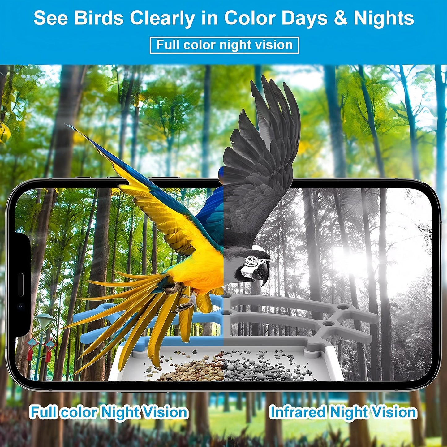 Phone screen showing a colorful parrot at a bird feeder with text about full color and infrared night vision.