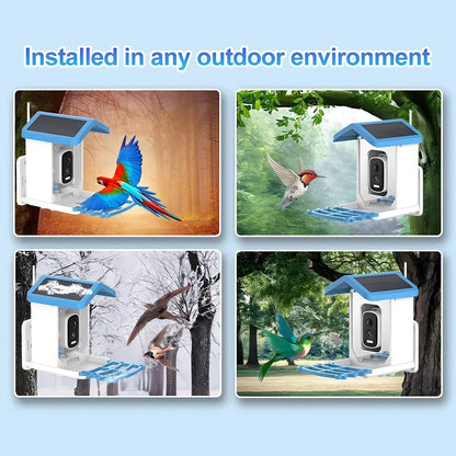 Solar-powered NestoLenzi Smart Bird Feeder with birds in various outdoor settings