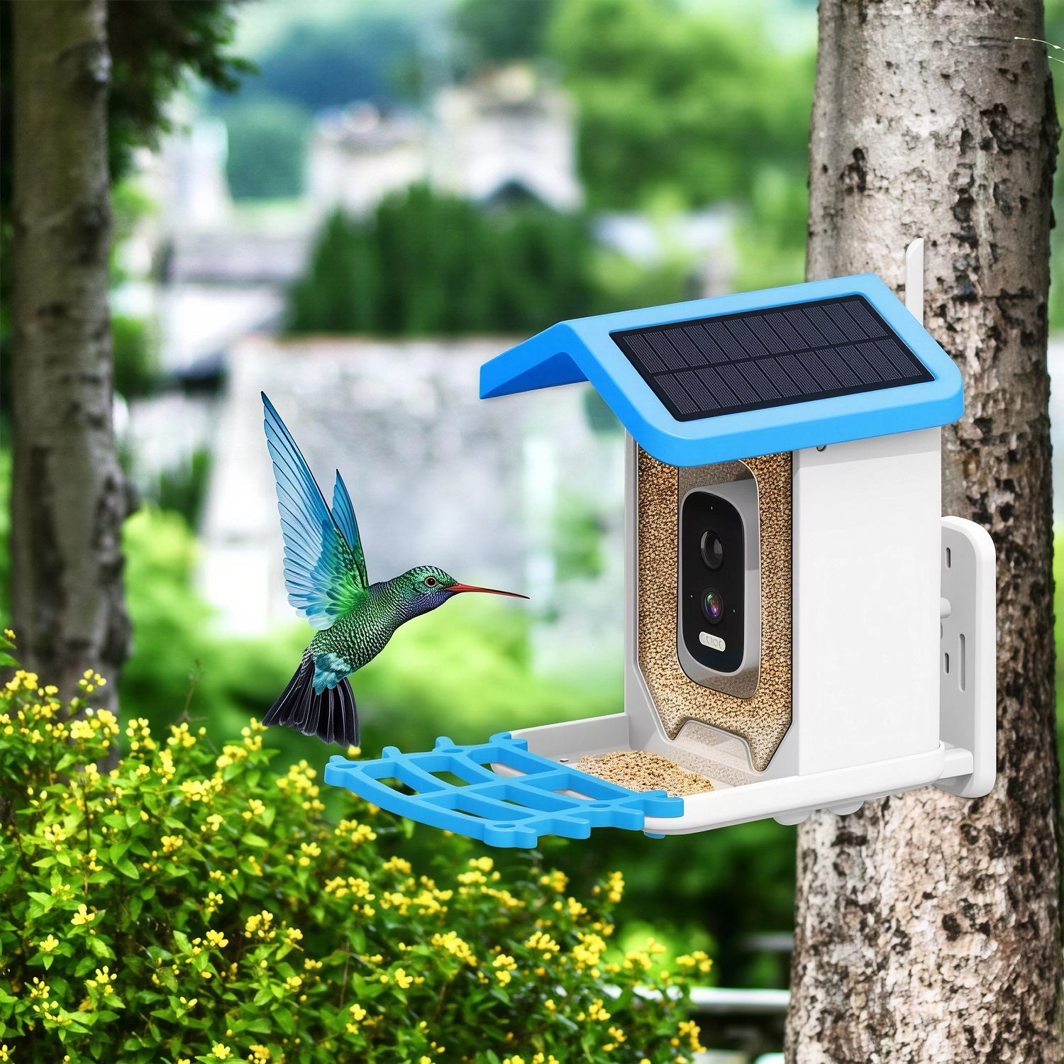 Solar-powered NestoLenzi Smart Bird Feeder attached to a tree with a hummingbird illustration.