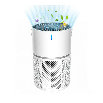 Oakerly Air Purifier with a white and blue design on a white background