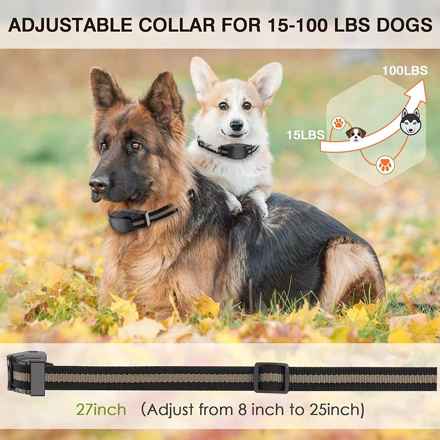 Two dogs wearing adjustable ObeTrainy Dog Training Collar with a product description overlay.